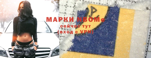 мяу мяу кристалл Няндома