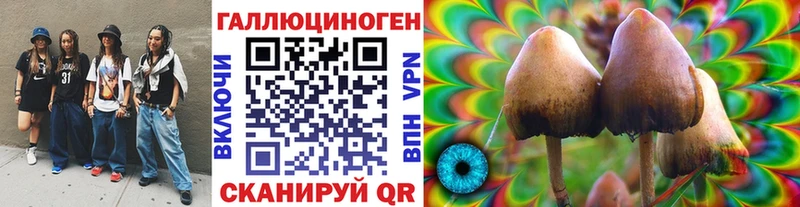 ссылка на мегу сайт  Новосибирск  Псилоцибиновые грибы Psilocybine cubensis 